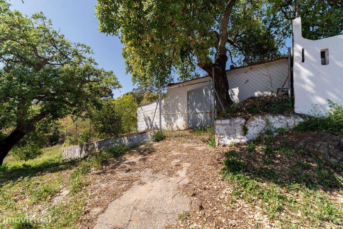 Casa Tradicional Algarvia com Charme no Alportel -  São Brás de Alport-32