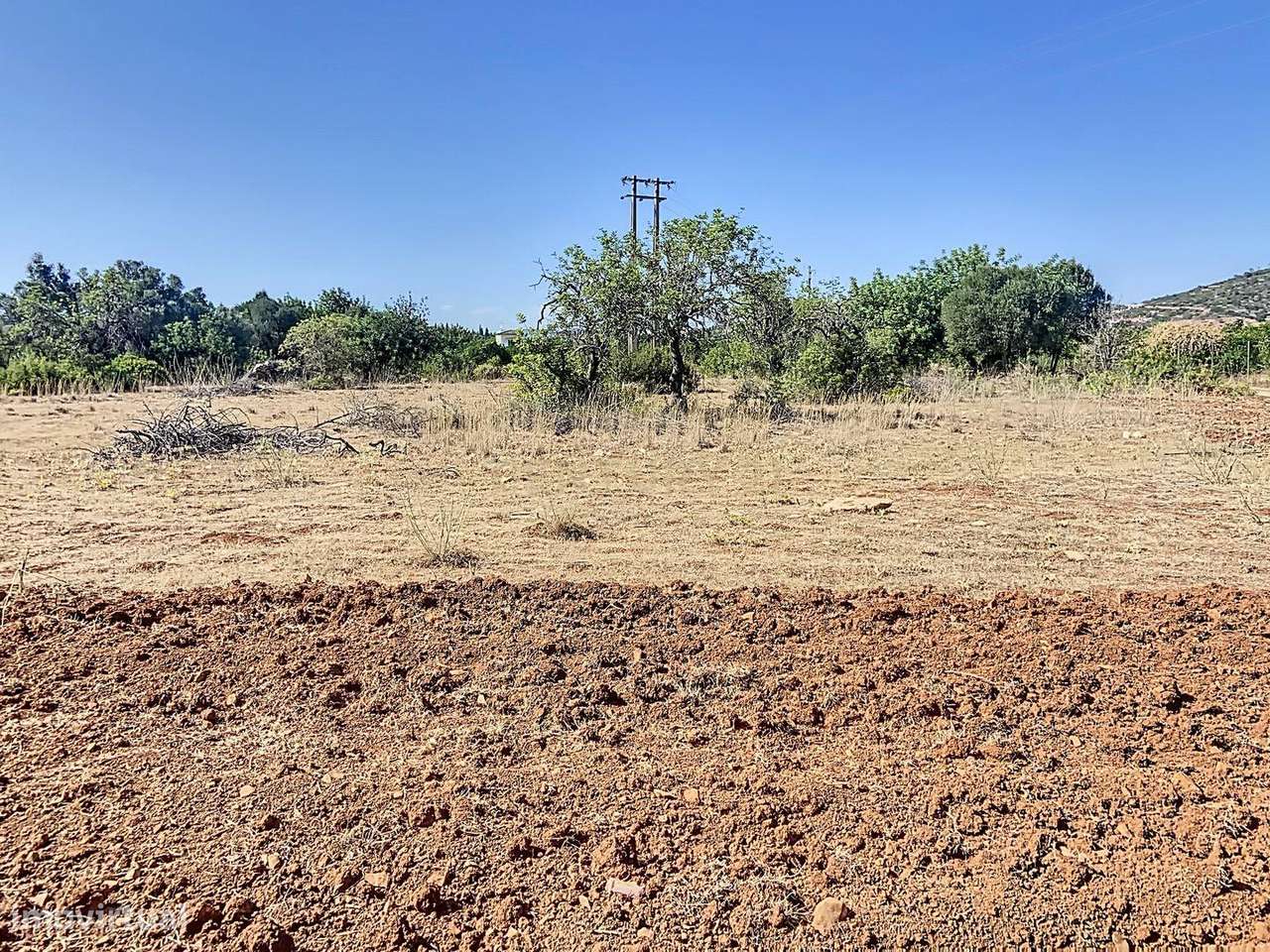 Terreno Rústico 12.000m2 - Falfosa, Santa Bárbara de Nexe - Grande imagem: 2/9