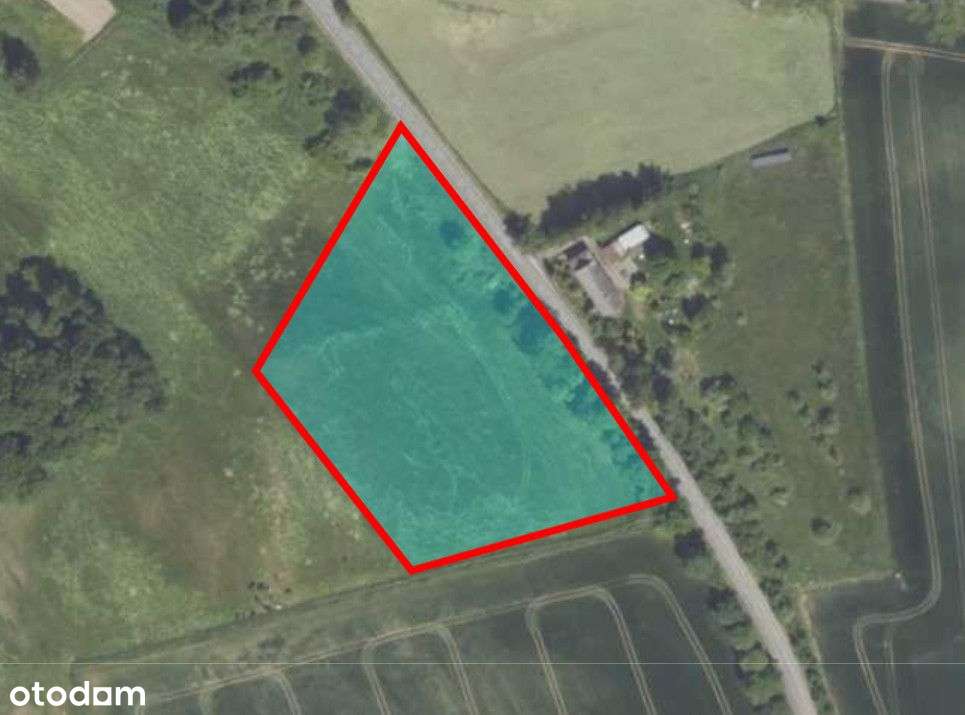 Wyjątkowa działka w Pławnej Górnej - Pełny obrazek: 5/5