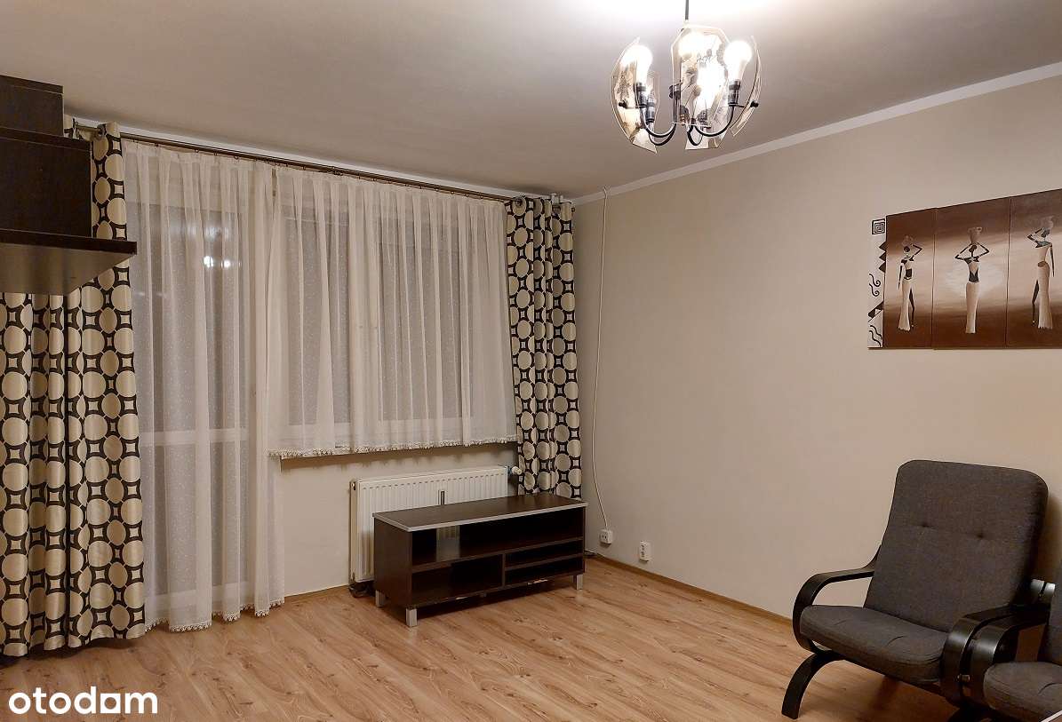 Bieruń Nowy - przestronne 2 pokoje - Pełny obrazek: 4/5