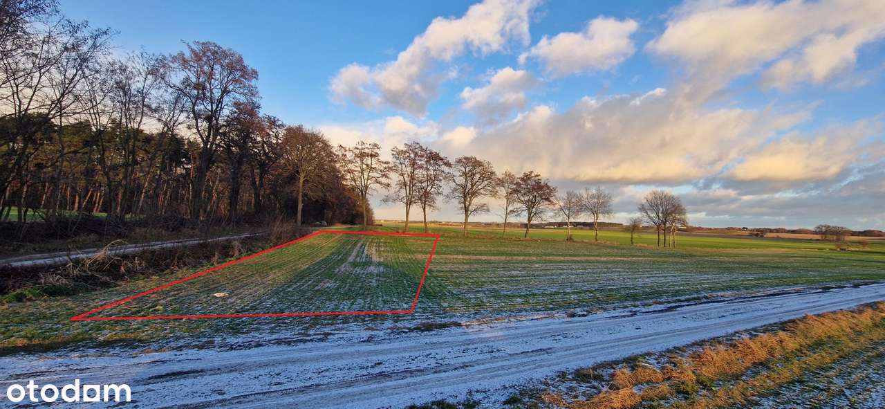 Działka budowlana 960 mkw. pod Gostyniem - Pełny obrazek: 2/3