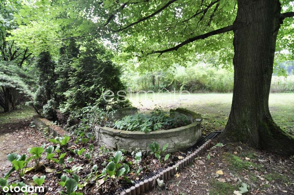 Działka i dom 20 minut od Łodzi w cichej okolicy - Pełny obrazek: 5/10