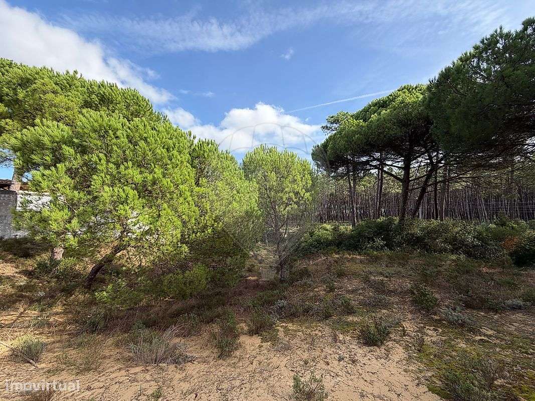 Terreno  para venda-14