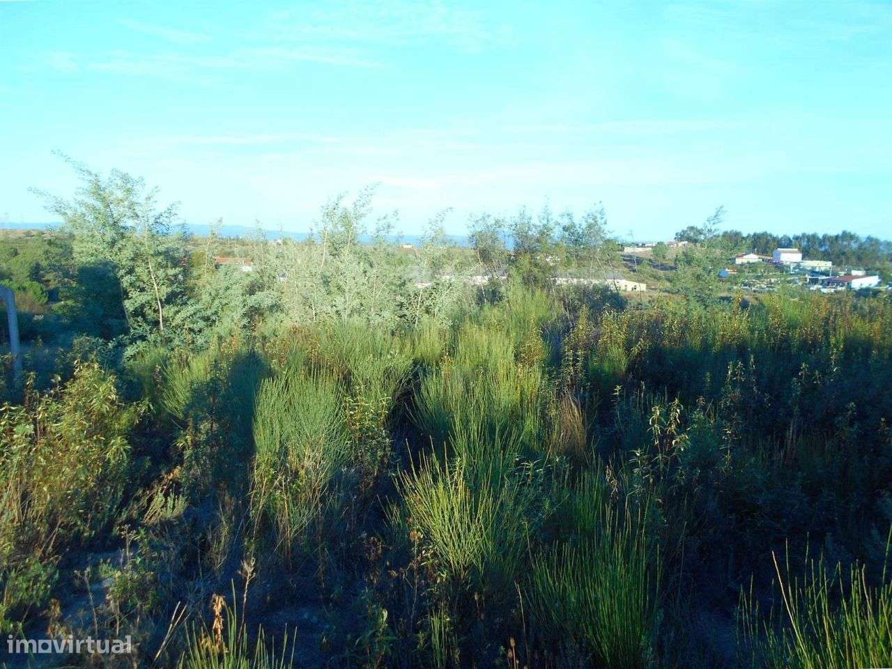 Terreno - Grande imagem: 4/4