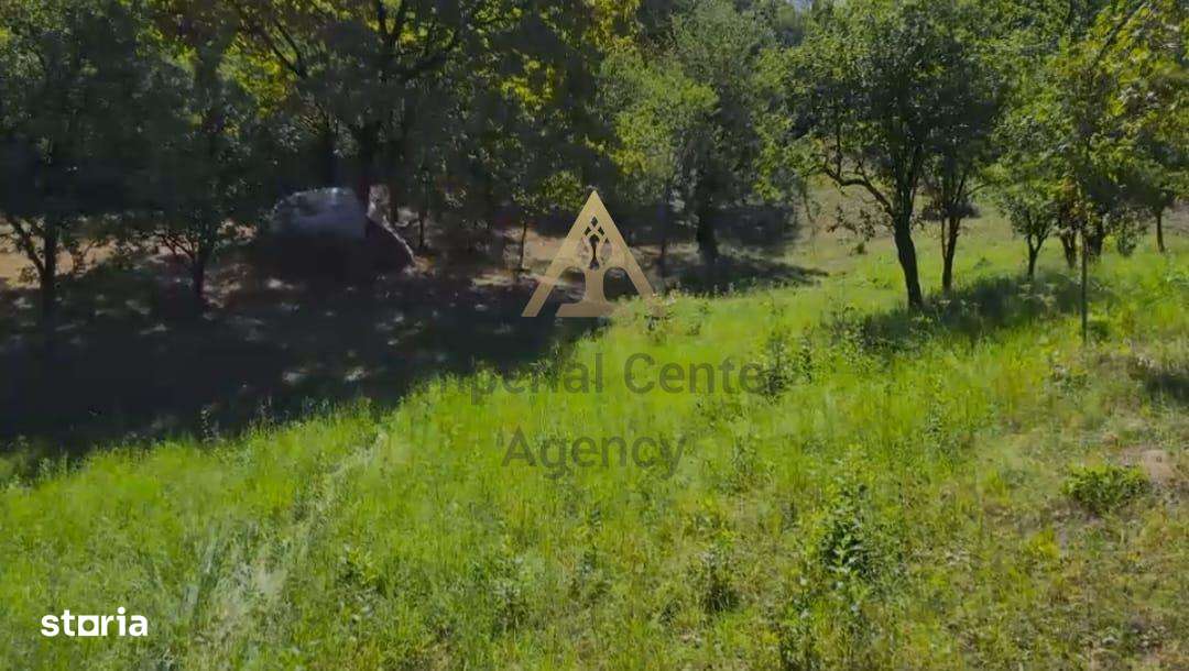 Teren intravilan + extravilan 10.537 mp – casa, livada sau ferma de fa-2