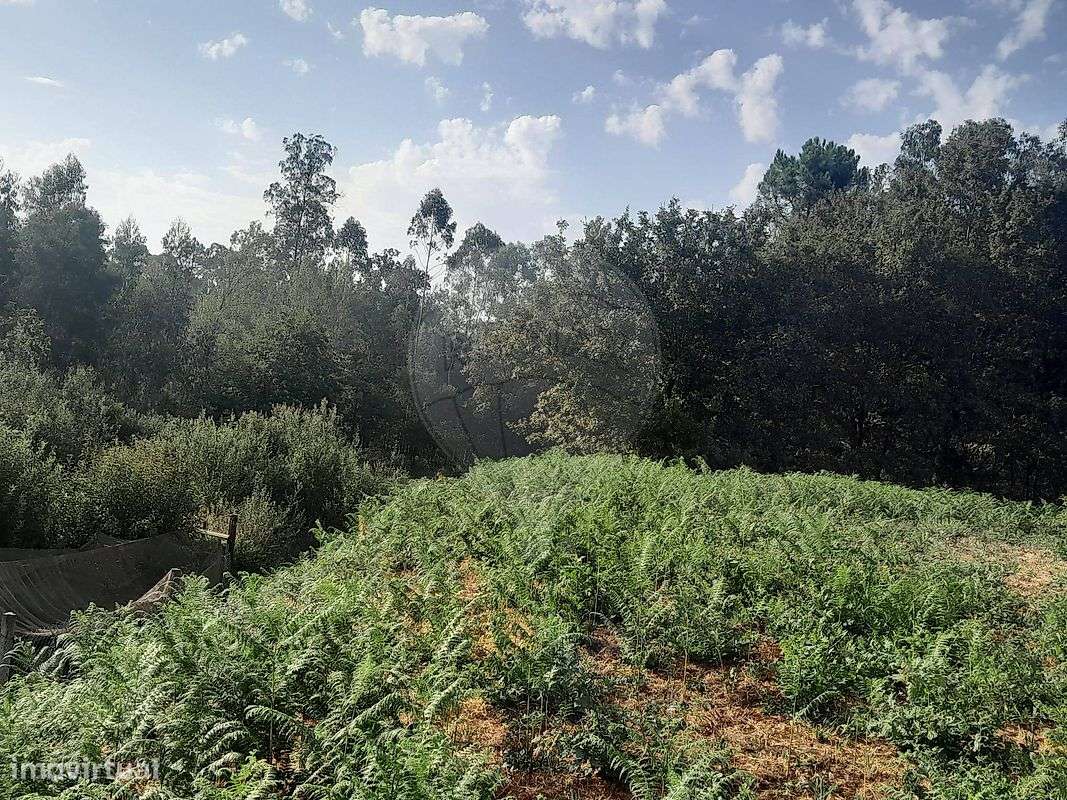 Terreno  para venda - Grande imagem: 2/7