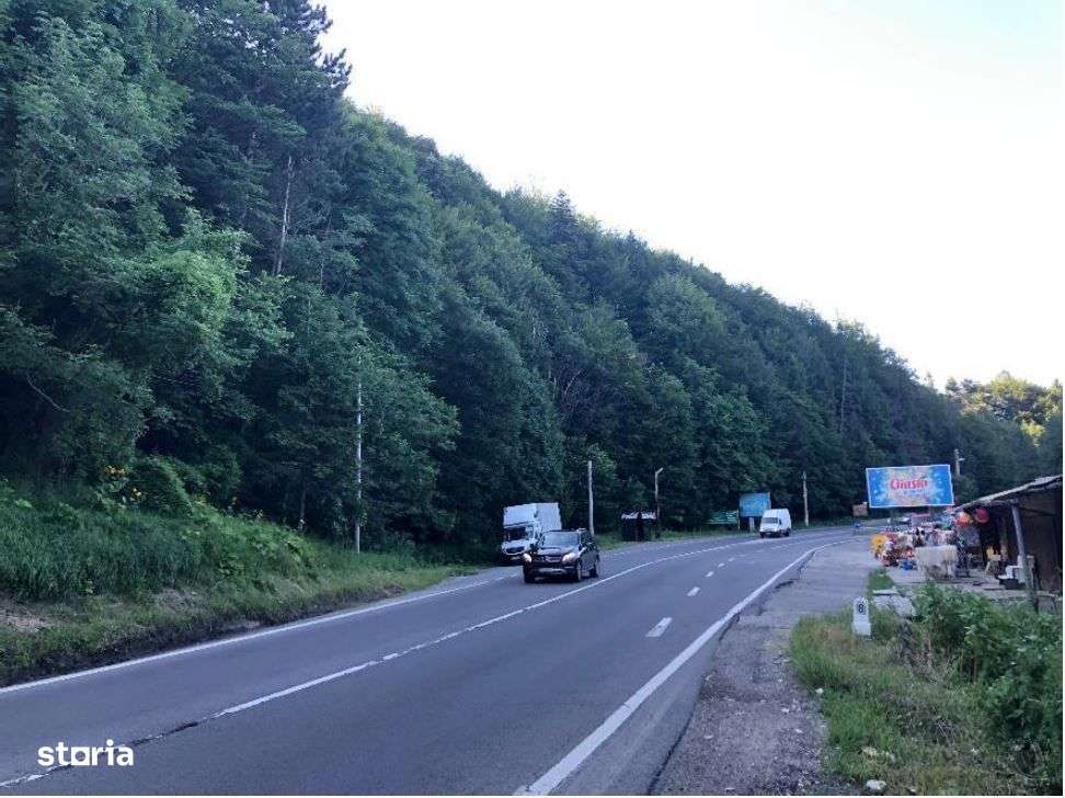 Teren intravilan in Busteni - 3000869 OFERTA - Imagine principală: 5/10