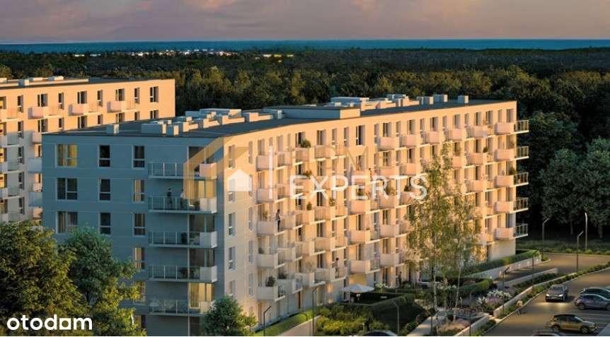 Inwestycja w środku lasu! - Pełny obrazek: 2/5