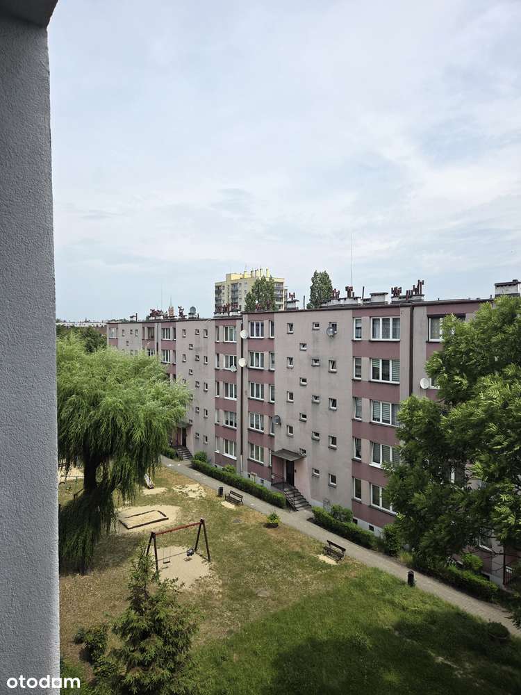 Centrum Zabrza z widokiem na Halę Sportową-8