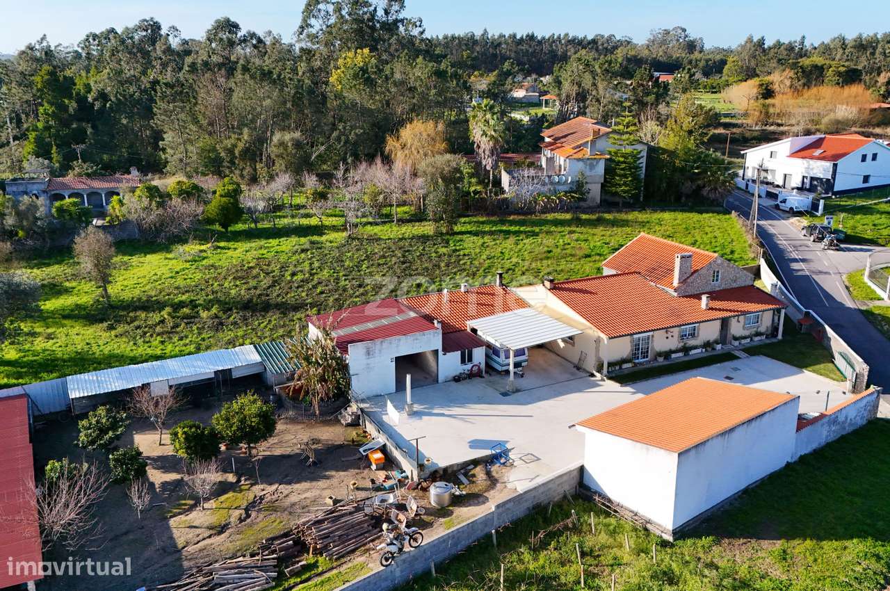 Moradia T4 localizada nas Alhadas, Figueira da Foz - Grande imagem: 5/45