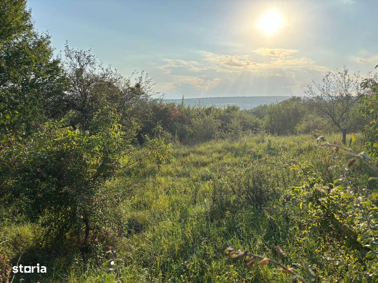 Teren 1320 mp zona Pomet - Imagine principală: 5/5