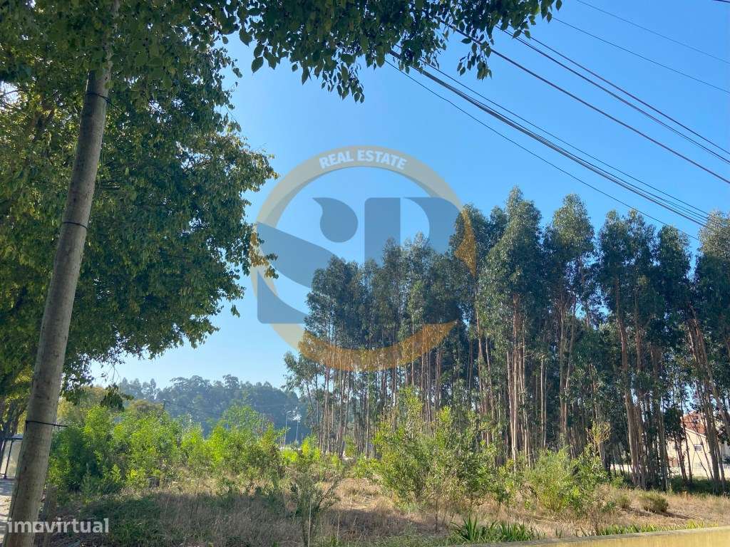 LOTE DE TERRENO PARA CONSTRUÇÃO DE UM PRÉDIO - Grande imagem: 4/8