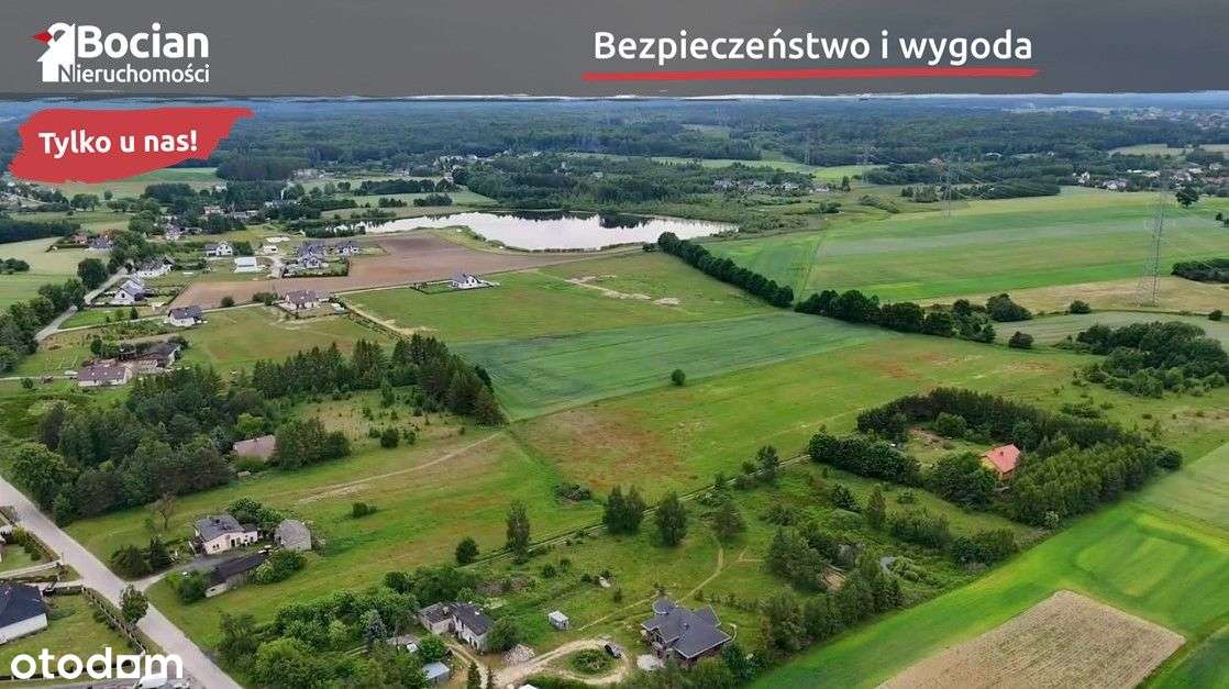 Uzbrojona, płaska, słoneczna, kameralna -Przyjaźń - Pełny obrazek: 4/7