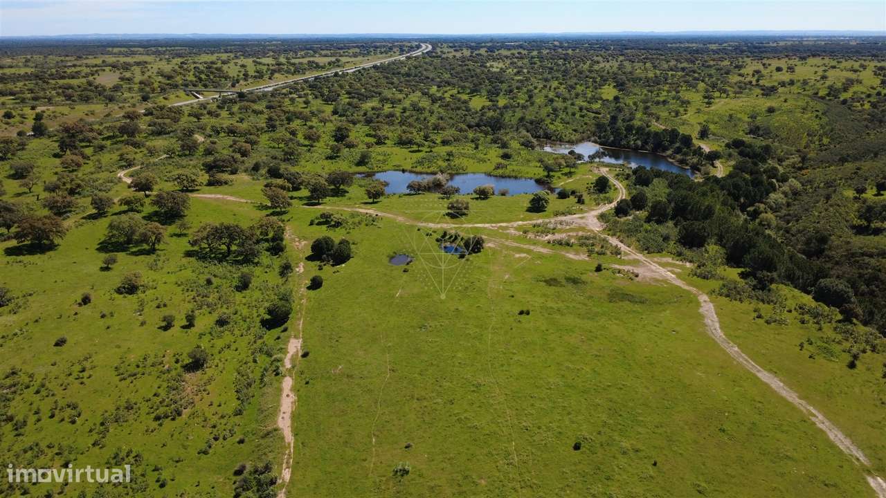 Herdade  Venda em Figueira dos Cavaleiros,Ferreira do Alentejo-8