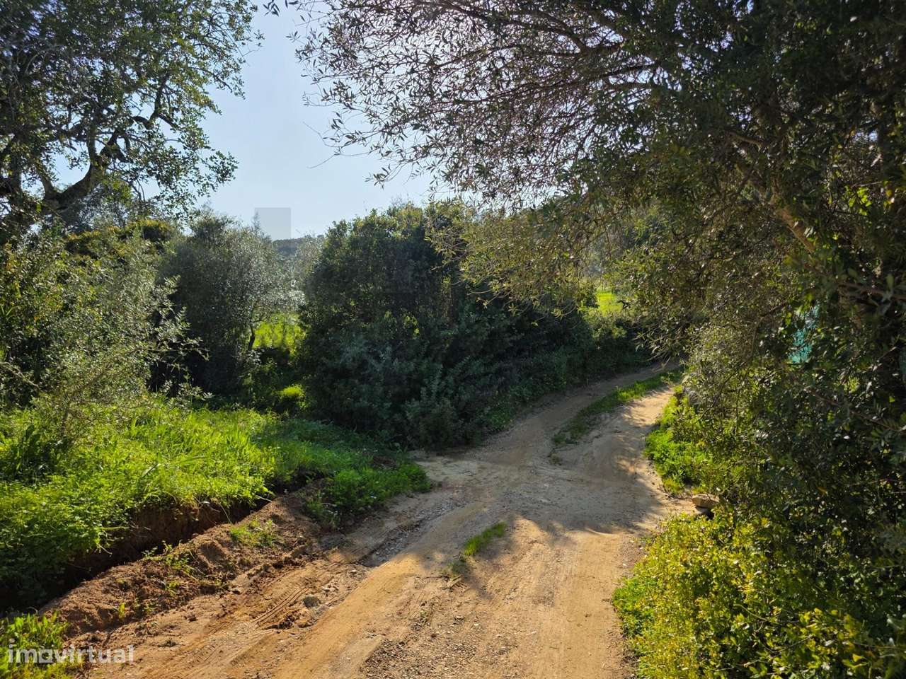 Terreno Rústico em "Vale das Fontes" - Porches - Algarve - Grande imagem: 4/34