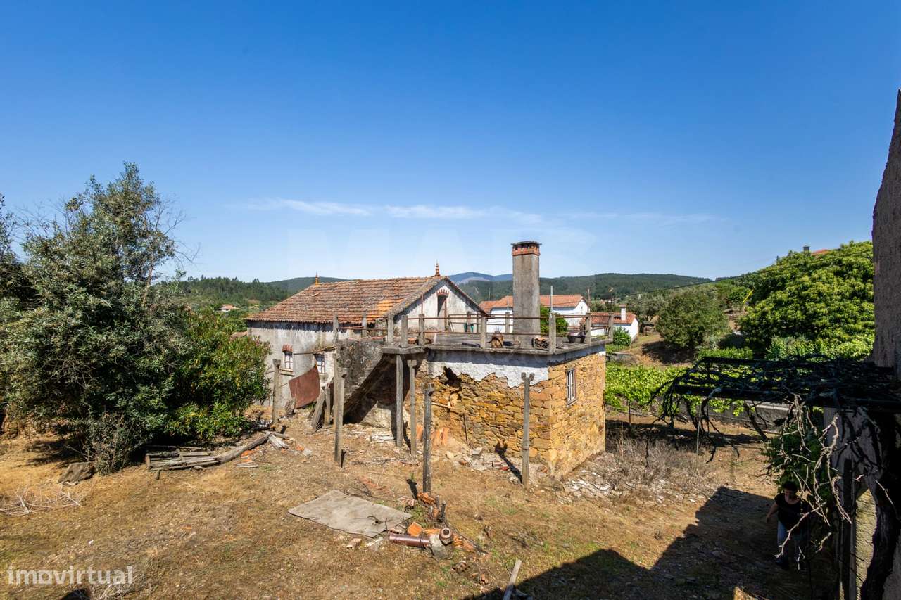 PROPRIEDADE DE CARÁTER NA N2 | 400 m² DE CONSTRUÇÃO, OLIVAL E POTEN...-24