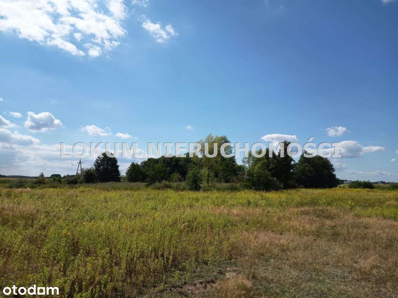 Działki Budowlane W Oleśnie, 1Km Od Centrum. - Pełny obrazek: 5/17