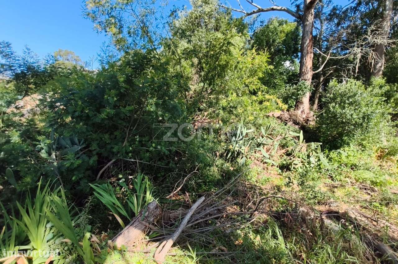 Propriedade única com 1.928 m² | Malveira da Serra-32