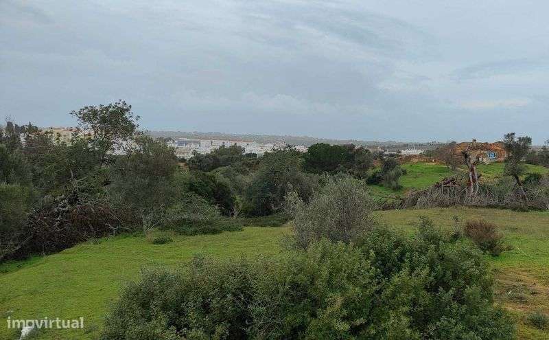 VENDE-SE TERRENO LAGOA 9540m² / URBANIZÁVEL - Grande imagem: 5/10