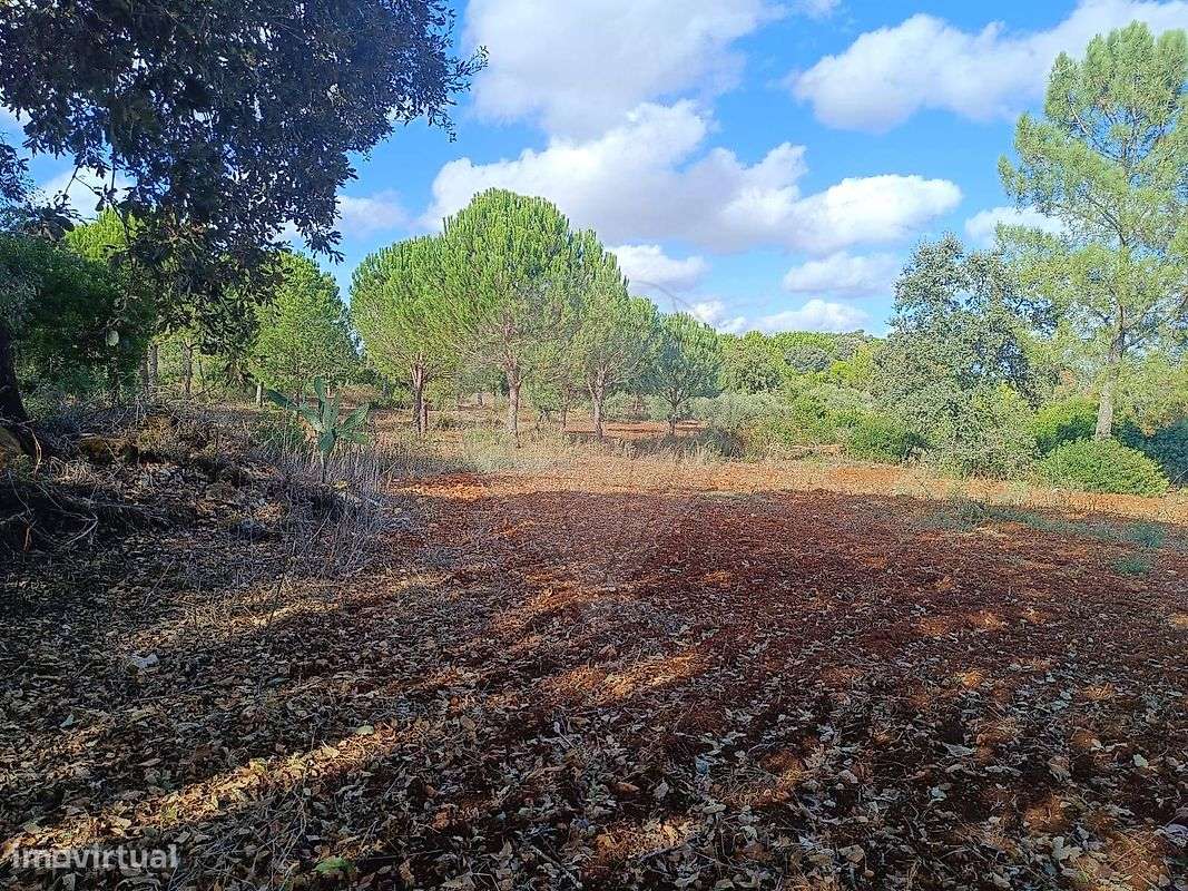 Terreno  para venda - Grande imagem: 5/5