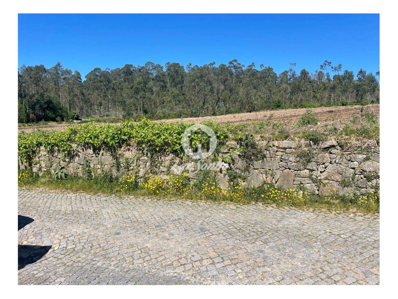 Terreno para moradia com 10.762m2 em Góios, Barcelos - Grande imagem: 3/6