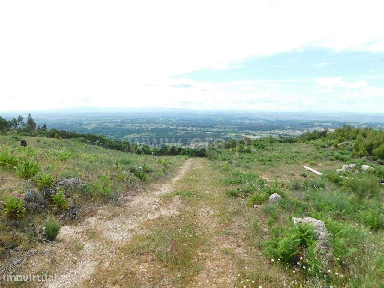 Quintinha / Seia, Santa Marinha e São Martinho - Grande imagem: 2/20