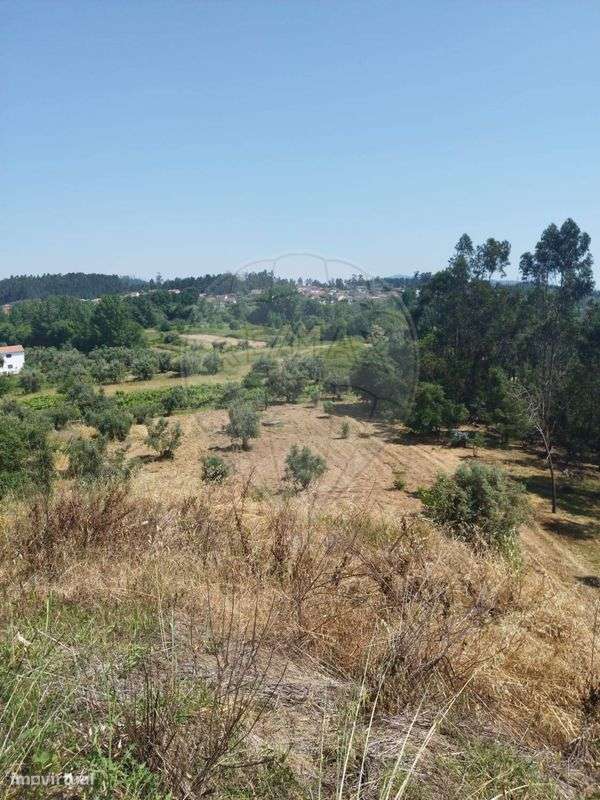 Terreno  para venda - Grande imagem: 5/11