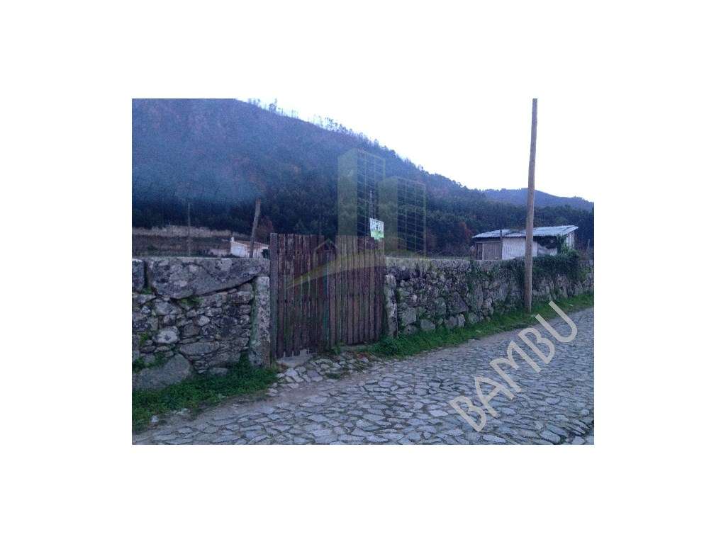 Terreno Rústico em Cristelo - Grande imagem: 4/5