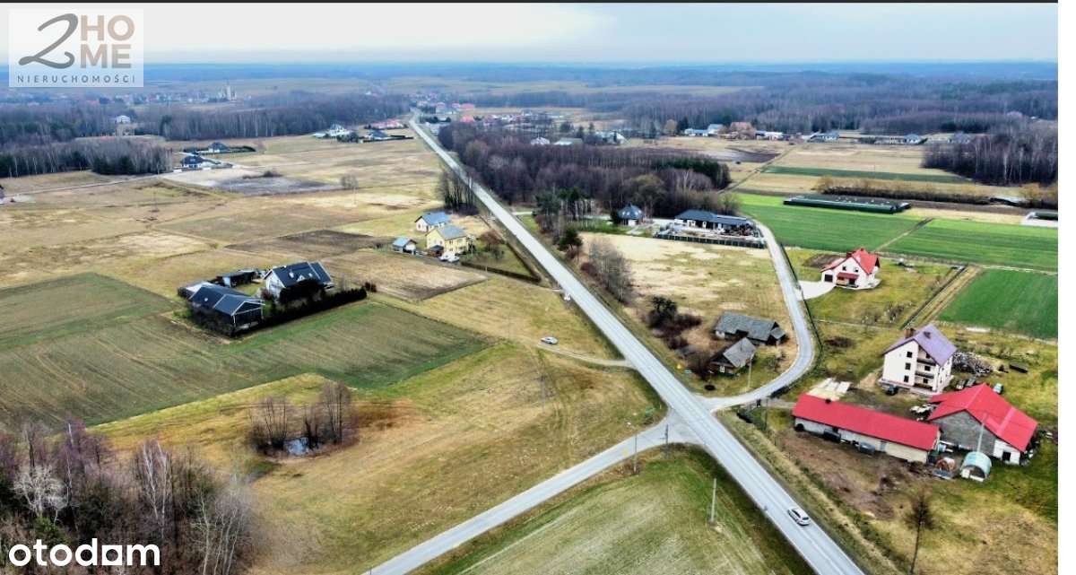 40 arów z WZ w Janowcu - Pełny obrazek: 5/12