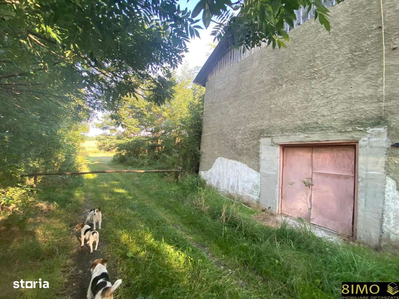 Teren 2000mp cu hala - Imagine principală: 4/4