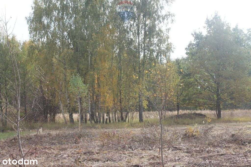 Działka budowlana w Zazdrości koło Żyrardowa - Pełny obrazek: 4/20