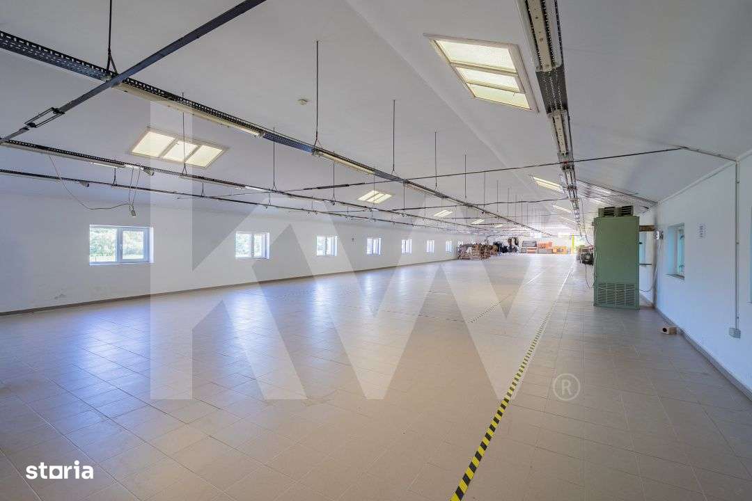 Ansamblu industrial cu hale functionale si teren – Rahau-Sebes - Imagine principală: 4/19