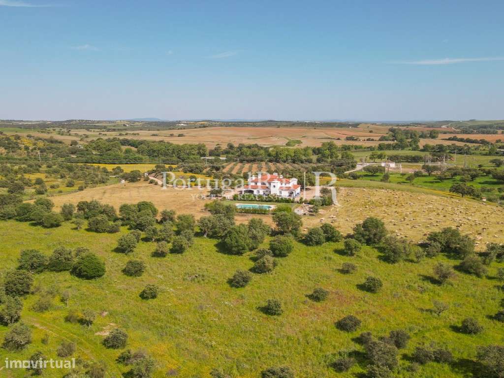 Propriedade com 5,9 hectares, junto à barragem de Lucefécit - Grande imagem: 4/26