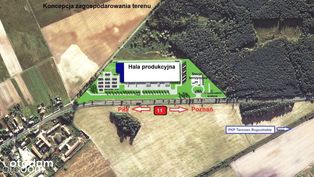 Grunt AG i Stacja benzynowa. Okolice Rogoźna. MPZP - Pełny obrazek: 3/17