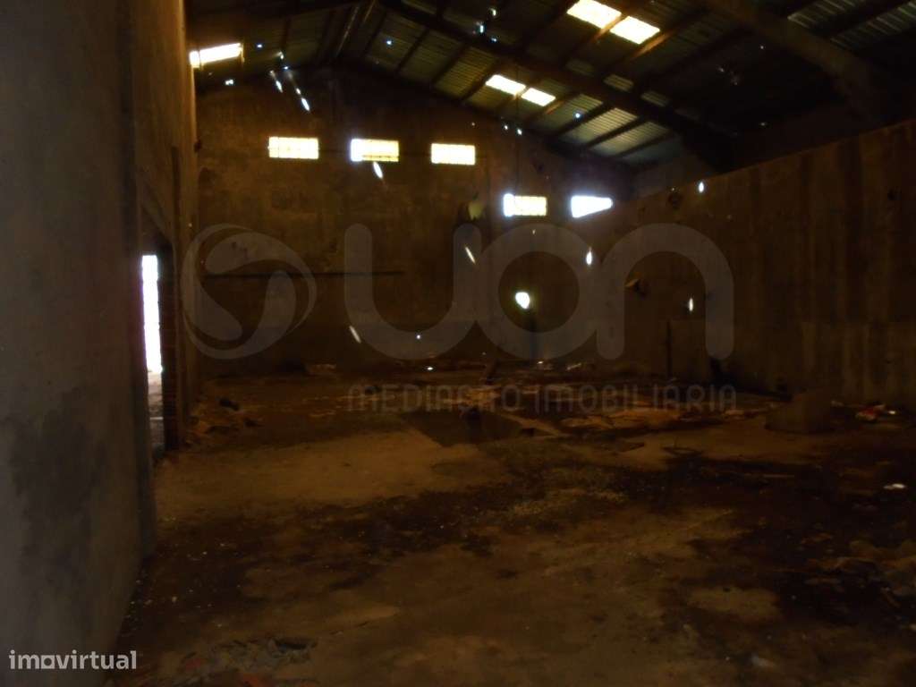 Armazém e Terreno Rústico em Tondela - Grande imagem: 5/10