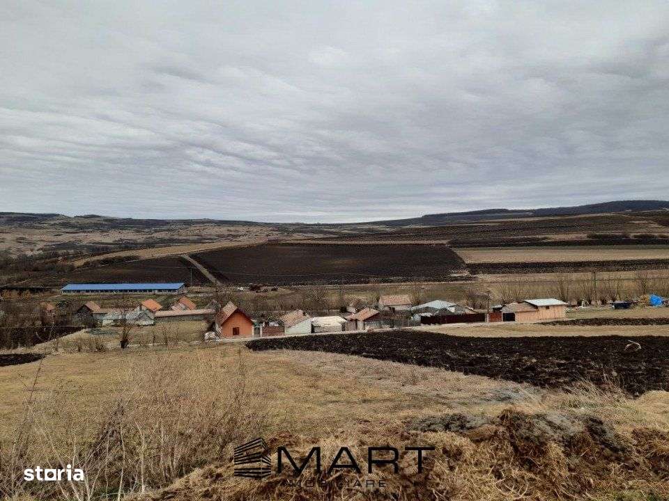 Teren extravilan 61000mp Daia Romana - Alba - Imagine principală: 2/3