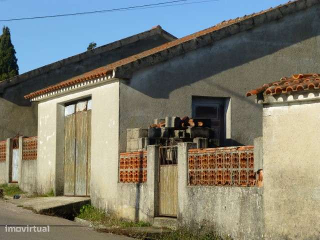 Garagem com Terraço e Quintal - Cepos (Arganil)-10