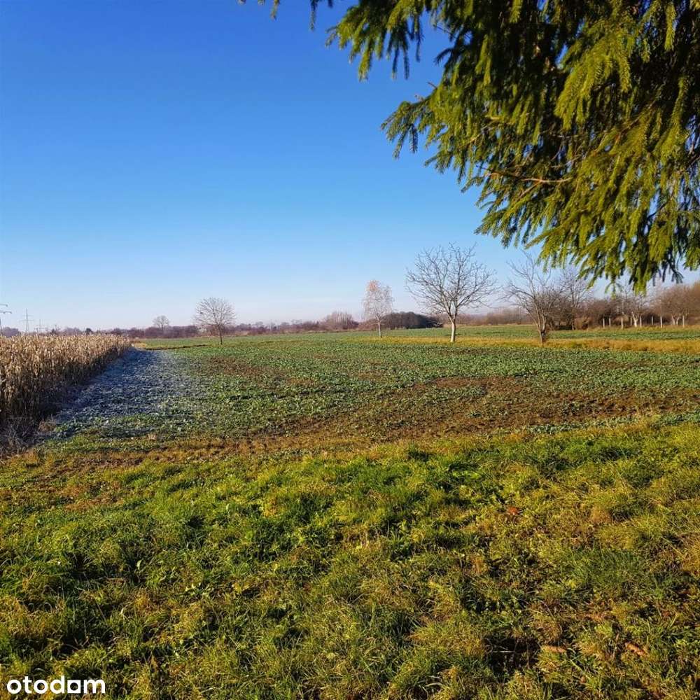 Dom z Ogromnym Potencjałem Inwestycyjnym w Krakow - Pełny obrazek: 4/7