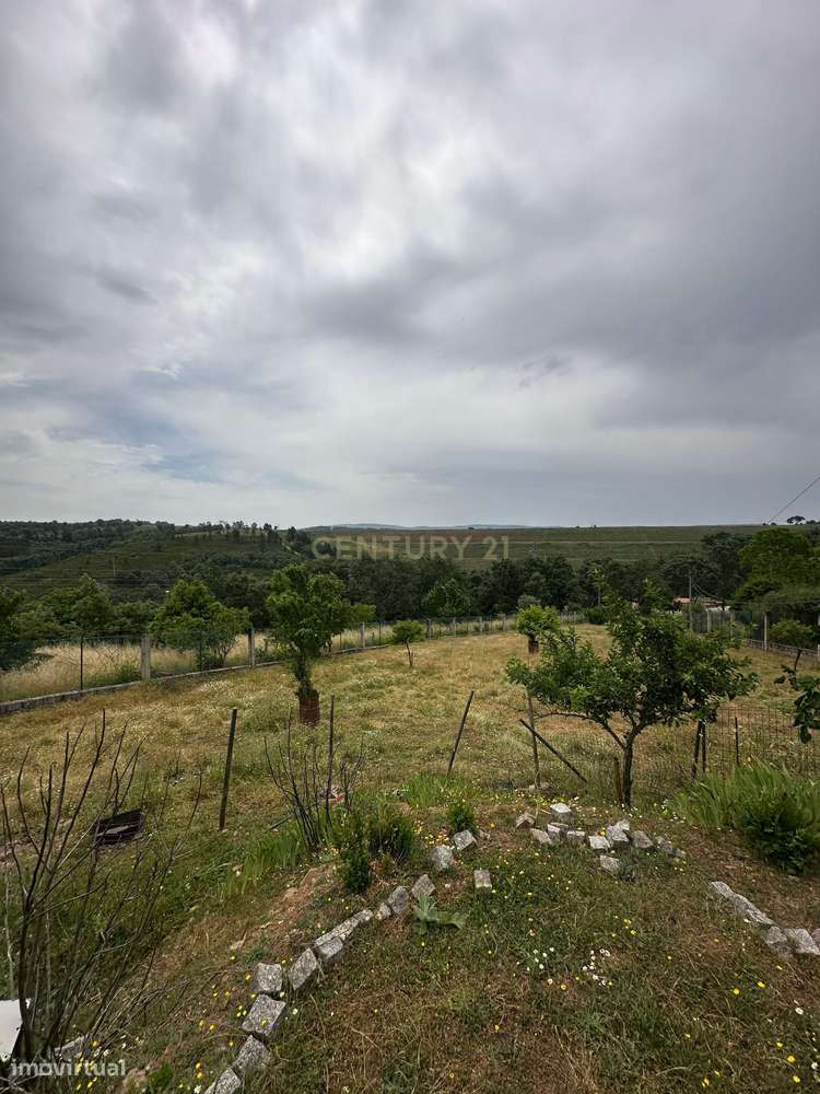 Quinta com Vista para a Montanha em Sabugal - Grande imagem: 5/14