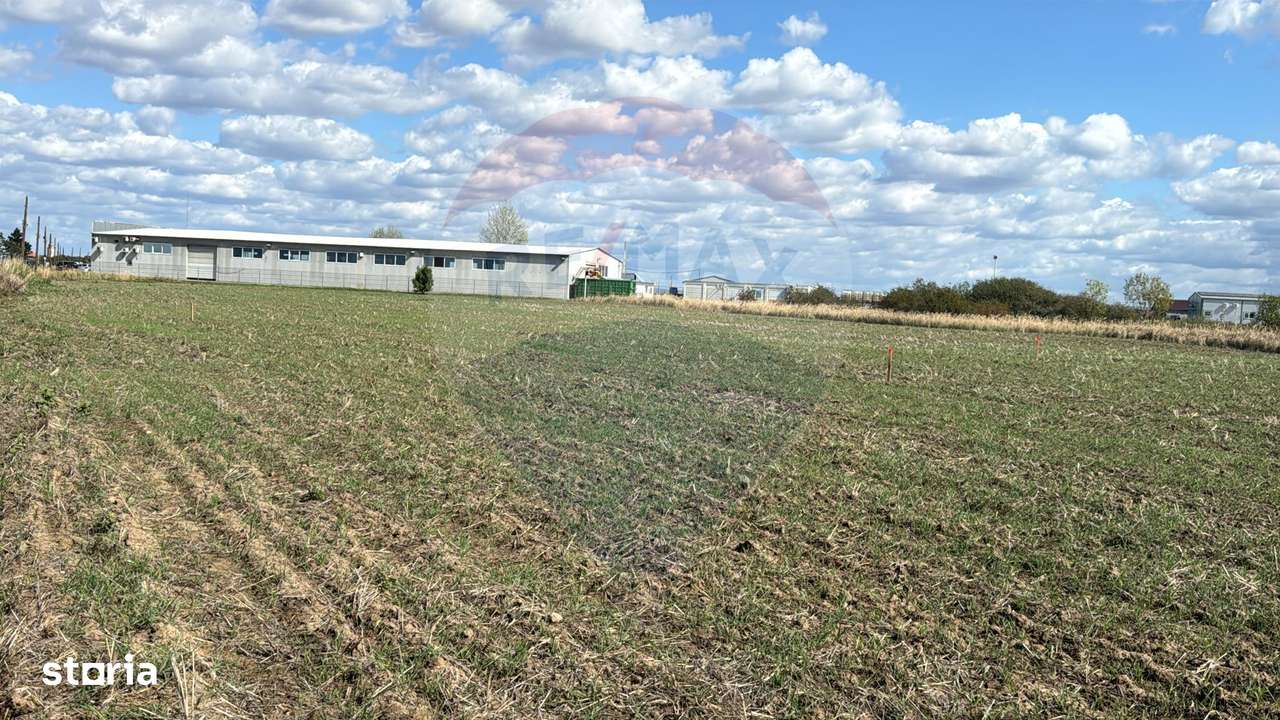 Teren 1 503 mp de vânzare, Nojorid , Soseaua DN79 - Imagine principală: 4/4