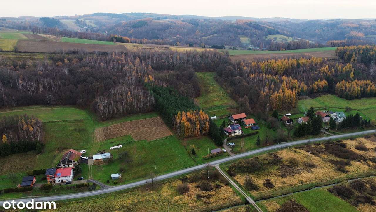 0,56ha z domkiem rekreacyjnym-3km od Strzyżowa tylko 3000zł/ar OKAZJA-3