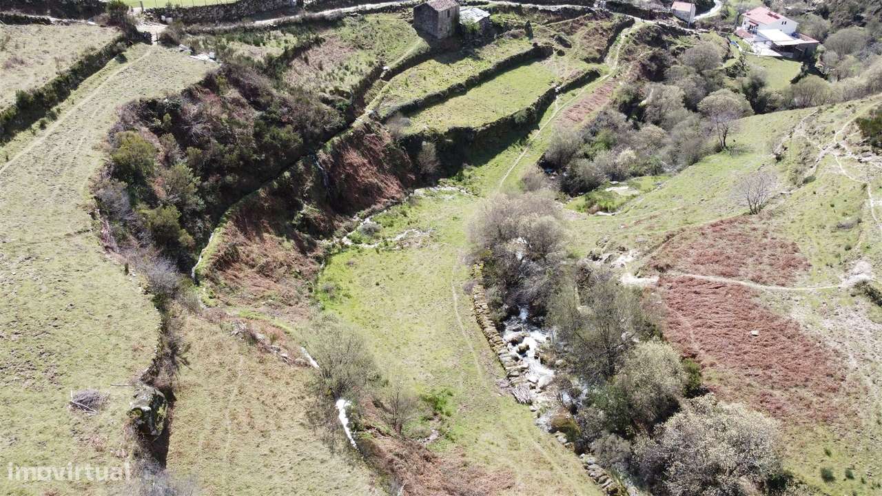 Quinta T0 Venda em Loriga,Seia-6