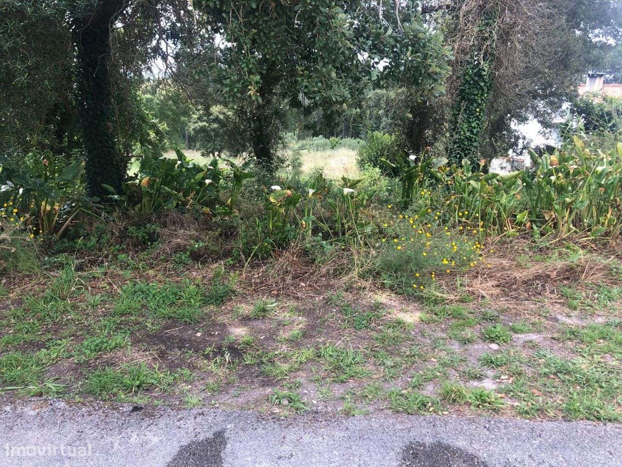 Terreno urbanizável em Ferraria de Pataias-10