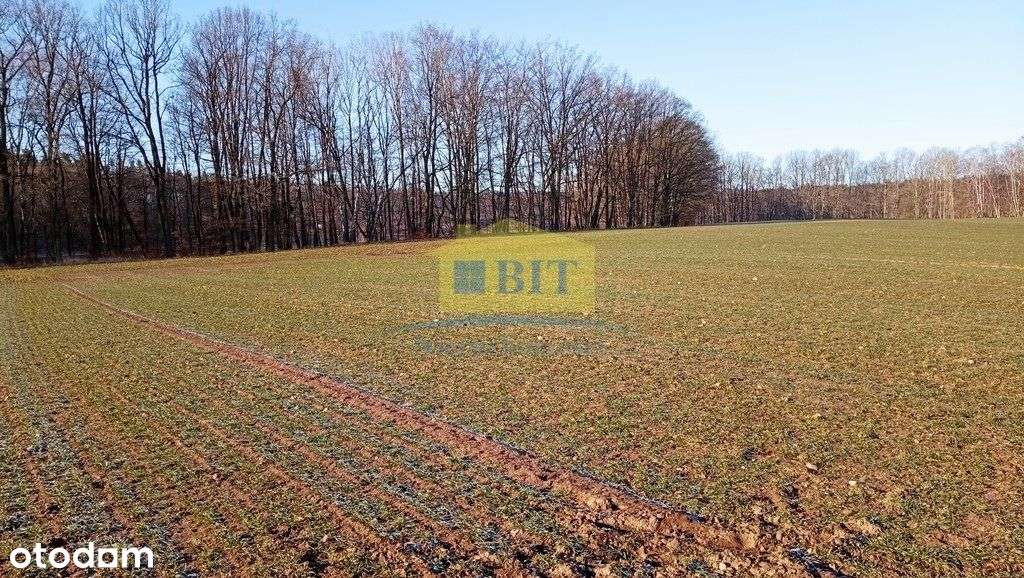 Działka 6066 m2, z dostępem do jeziora Kaleńsko-12