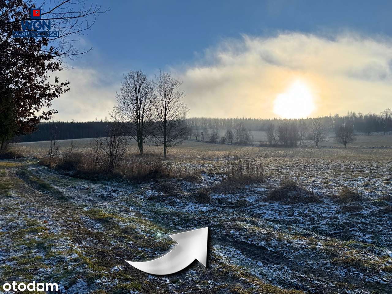 Działka budowlana z pięknymi widokami pod lasem.-8