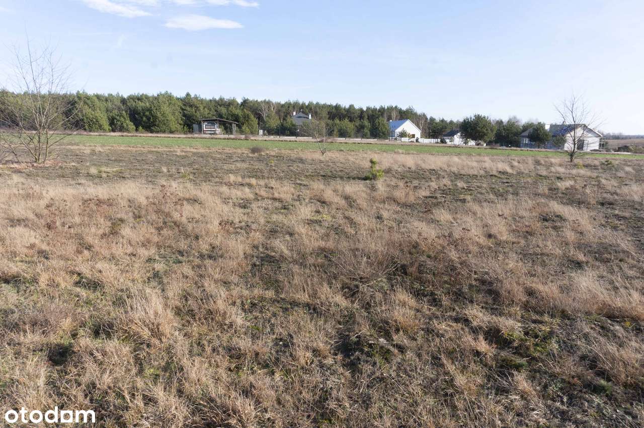 Działka budowlana 1.000 m2 - Katarzynów gm. Ozorków - Pełny obrazek: 4/6