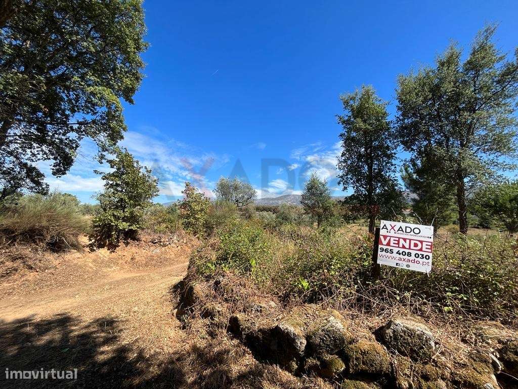 Terreno em Stª Comba de Seia - Grande imagem: 3/7