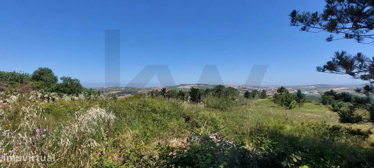 TERRENO COM VISTA MAR - LAGOA - SANTO ISIDORO - Grande imagem: 2/19