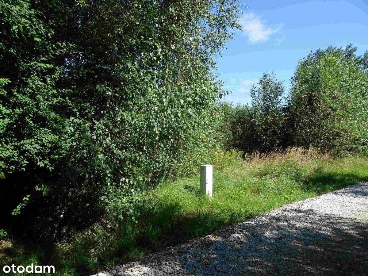 Działka w pobliżu lasu - Pełny obrazek: 4/7