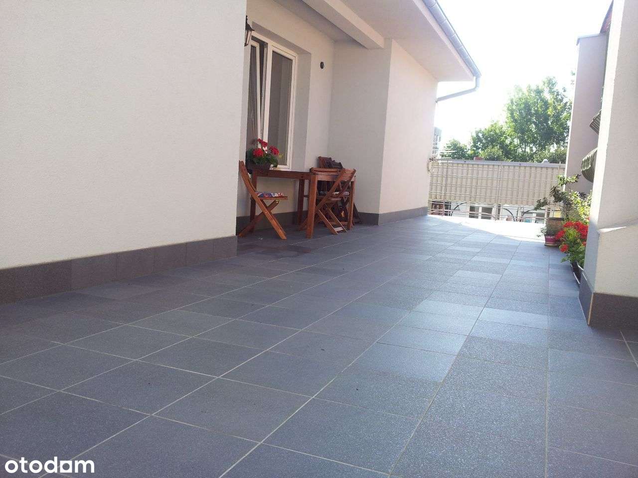 Budynek usługowo-mieszkalny w Legnicy - Pełny obrazek: 4/7